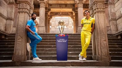 World Cup Final: Cricket lovers will watch the match on big screens in different cities of Punjab.
