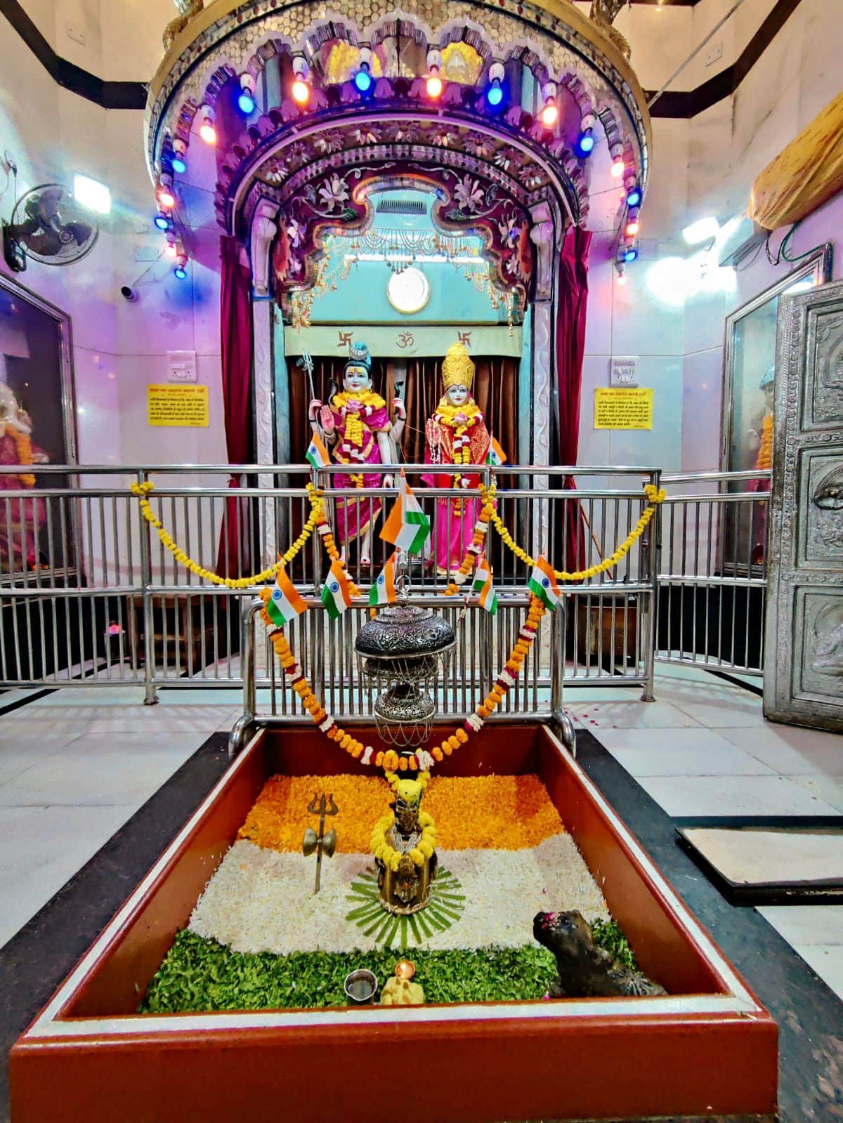 IND vs AUS World Cup Final: Excitement high about match, silence on roads and offers in restaurants