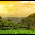 IRCTC Tour Package