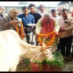 Kasganj: धूमधाम से मनाया गया गोपाष्टमी पर्व, आरती उतारकर किया गोपूजन