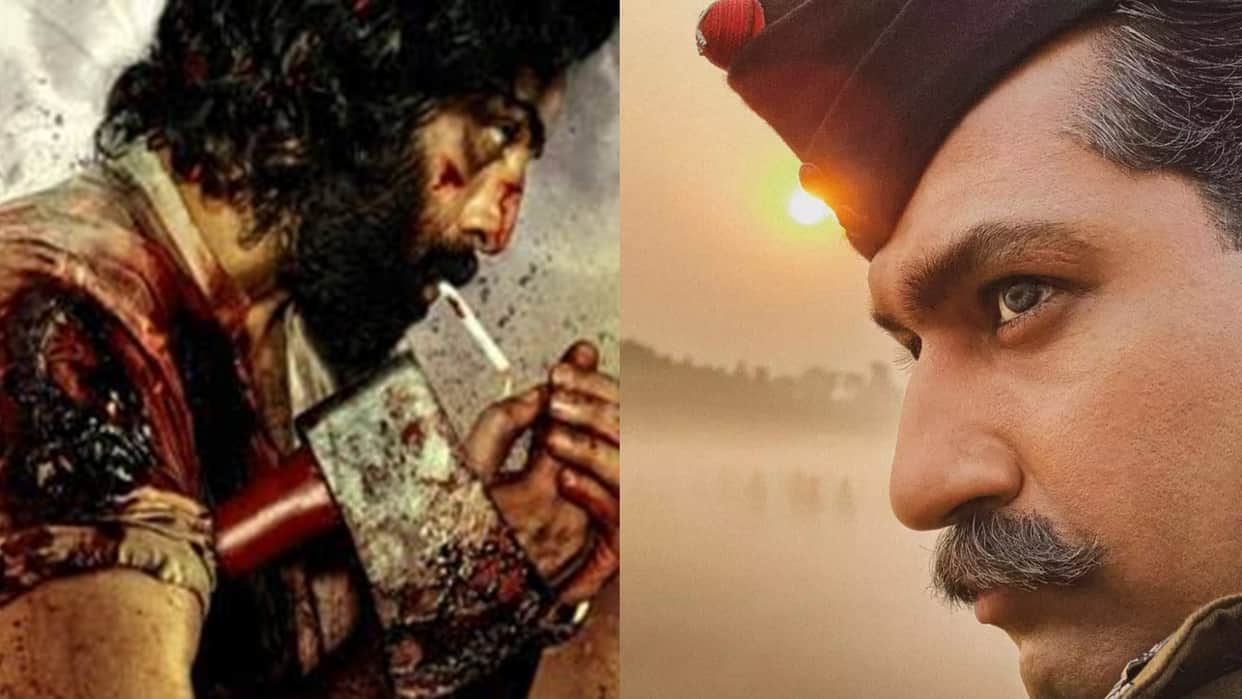 Box Office Collection Report Day 13 Animal Sam Bahadur Know These Film Total Earnings
