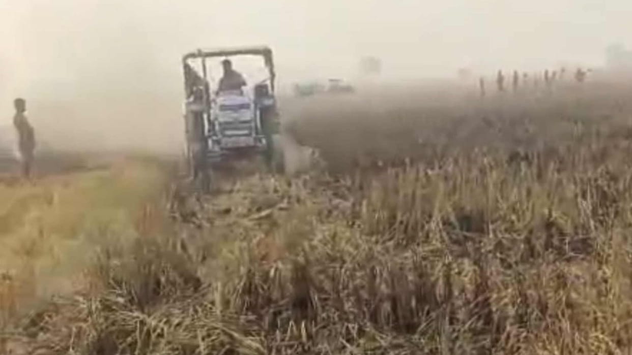 Stubble set on fire two bighas of crop reduced to ashes
