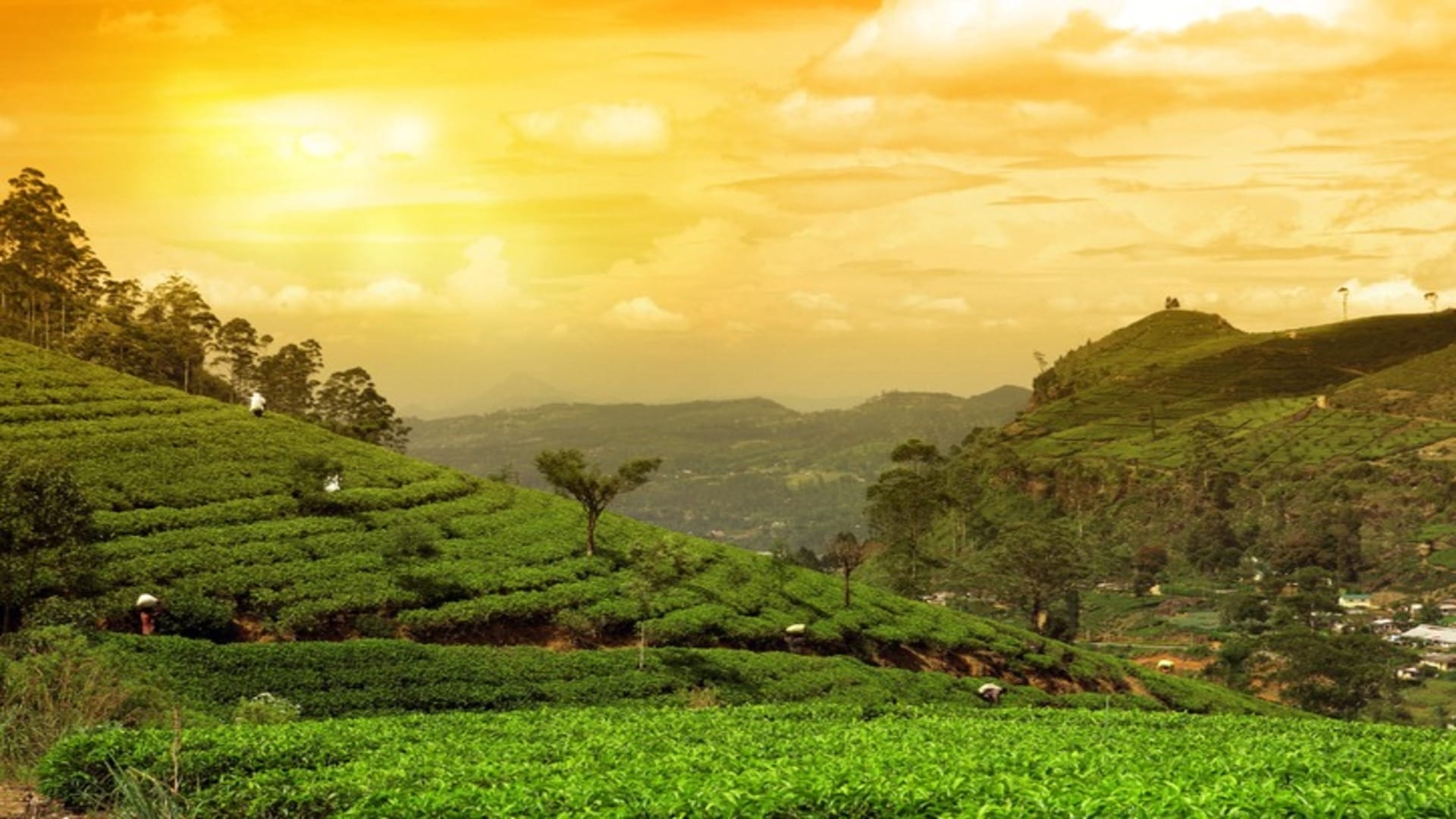 IRCTC Tour Package For Assam and Meghalaya 2023 Check Complete Details Here In Hindi