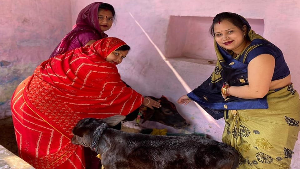 Worship of cow on Gopashtami