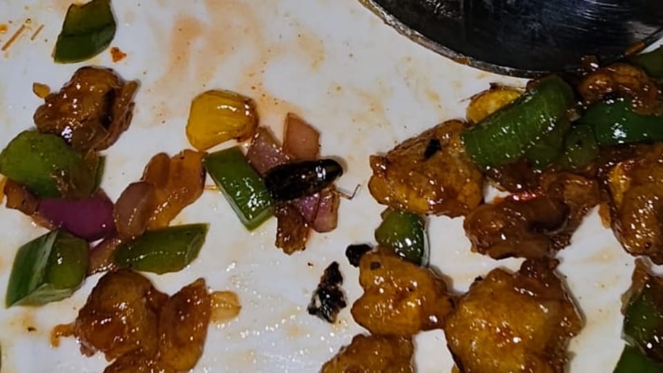 Cockroach found in snack plate in famous club, commotion
