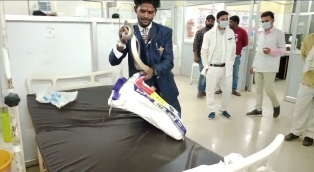 A young man was bitten by a snake, broke his tooth and took him to the hospital in a bag; Said- 'I have brough