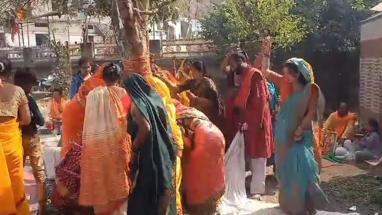 Amla Navami today Women worshiped Amla tree in Damoh