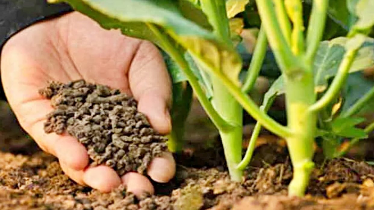 Shivpuri News Ban on sale and storage of fertilizers found non-standard