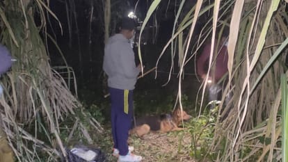 Police could not solve the women murder mystery in Shahi area of Bareilly