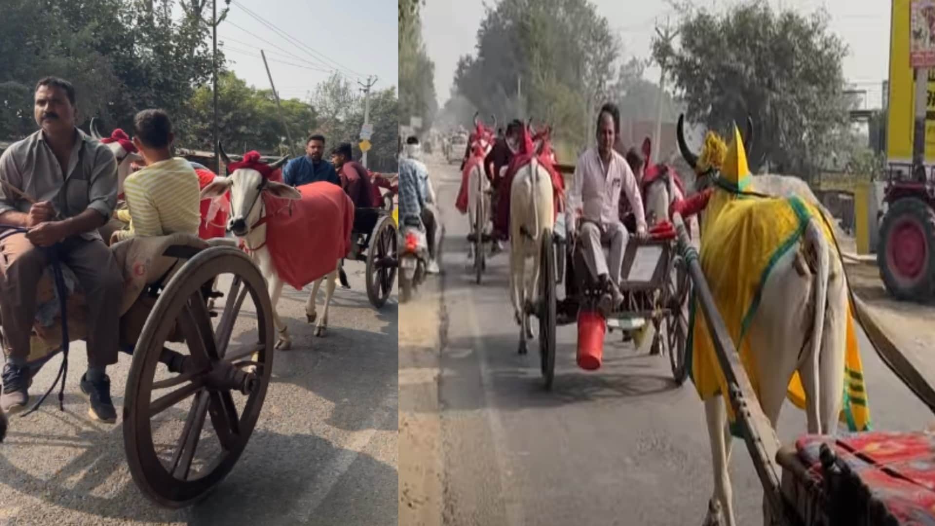 Ganga Snaan 2023: Ganga Ghat started resonating with the cheers of Mother Ganga, devotees camped in the fair