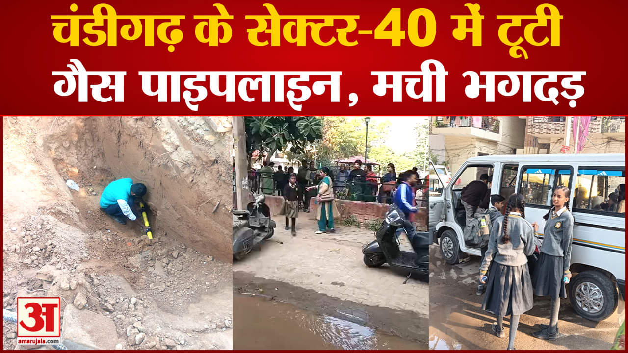चंडीगढ़ सेक्टर 40 डी