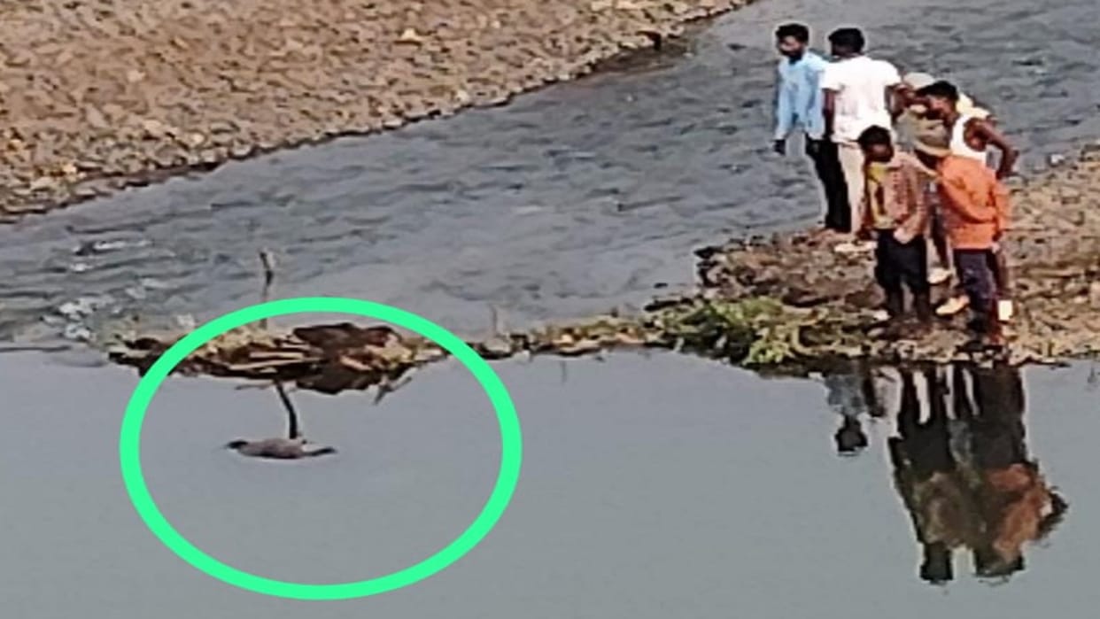 Umaria News Human dead body seen floating in water created panic in village
