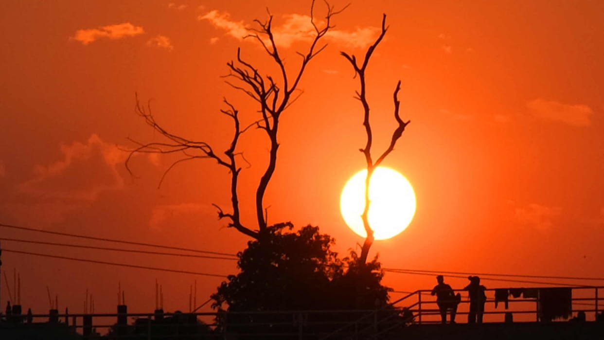 Minimum temperature reached 14 degrees Celsius