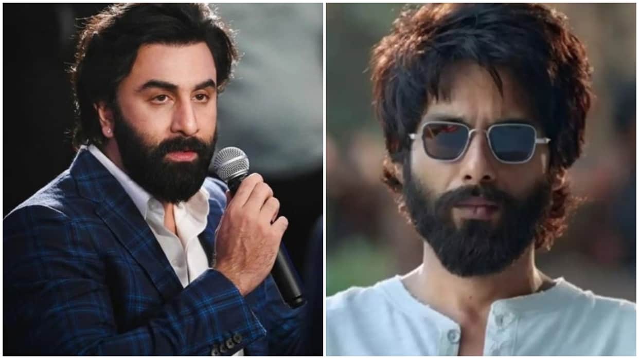 Animal Actor Ranbir Kapoor Says Shahid Kapoor Starrer Kabir Singh Incredibly Powerful and Impactful