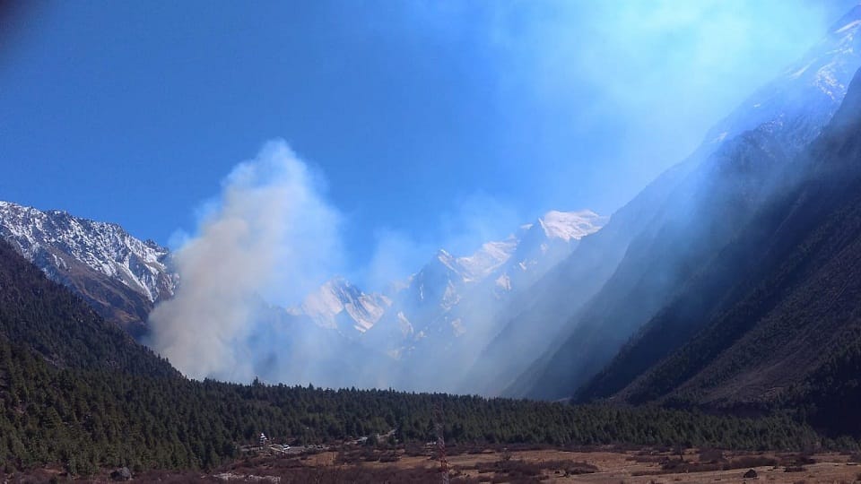 Unknown people have set fire to the forest in Nepal