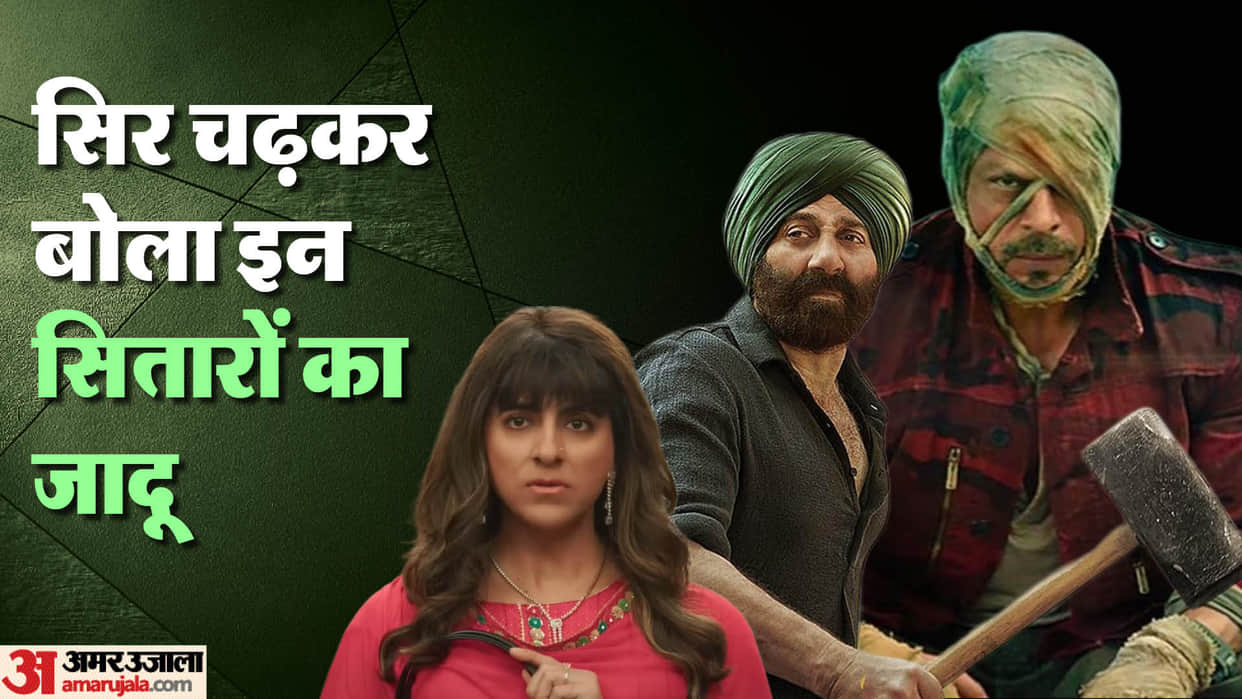 This Year Become Best For These Stars Shah Rukh Khan Sunny Deol Kartik Aryan Ayushmann Khurrana