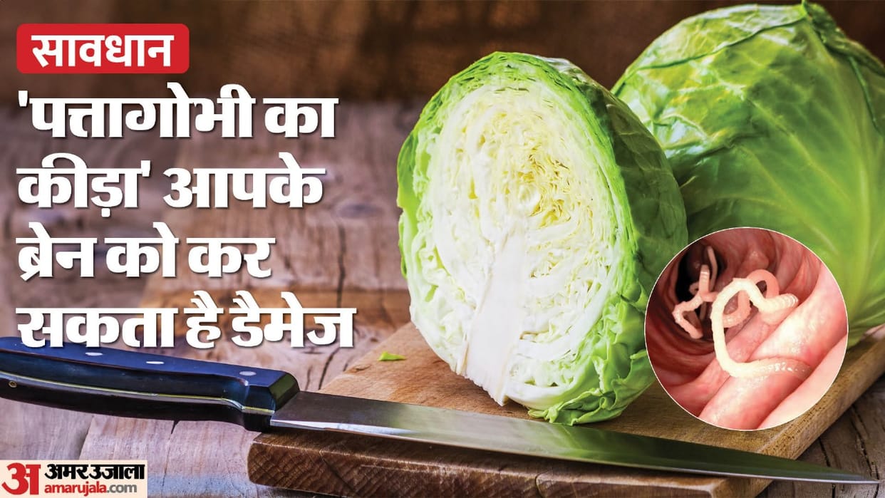 worm in cabbage that affects brain know patta gobhi khane ke fayde aur nuksan