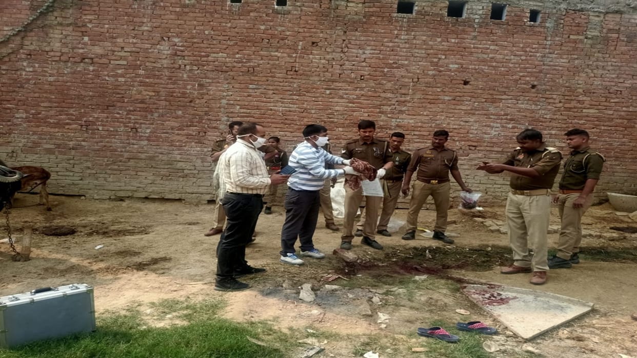 Step son attacked and killed his mother with an axe, sat near the dead body after the murder