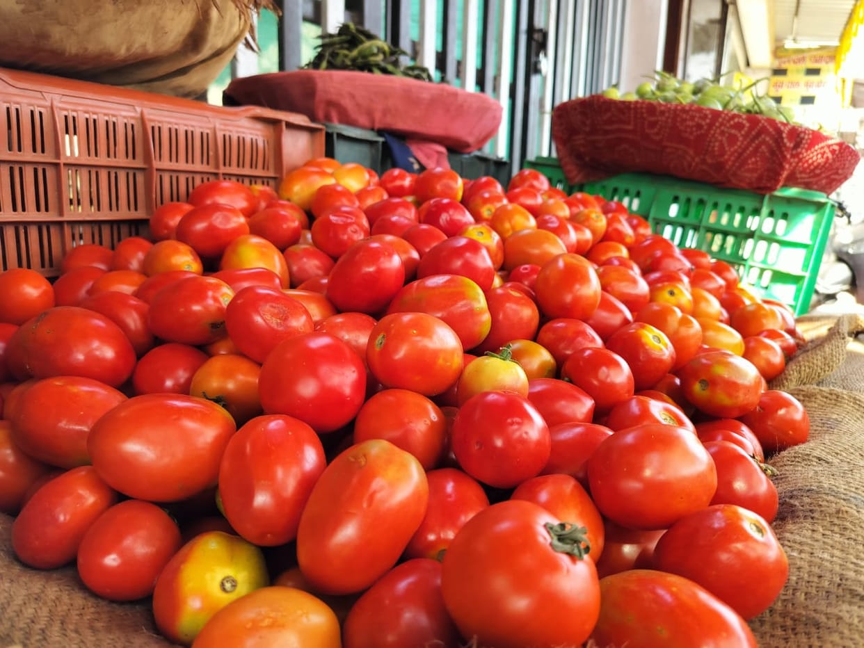 Indore: After onion, now tomato prices started rising, doubled in a month