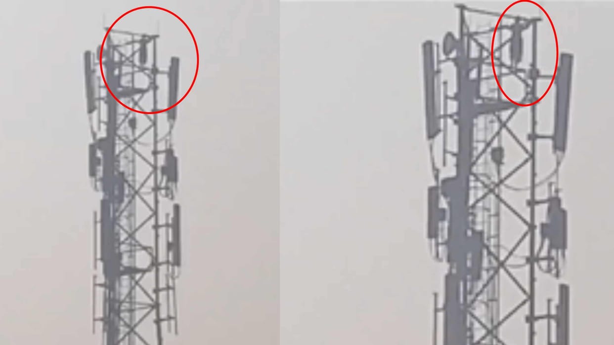 Girl climbs mobile tower in Maharajganj