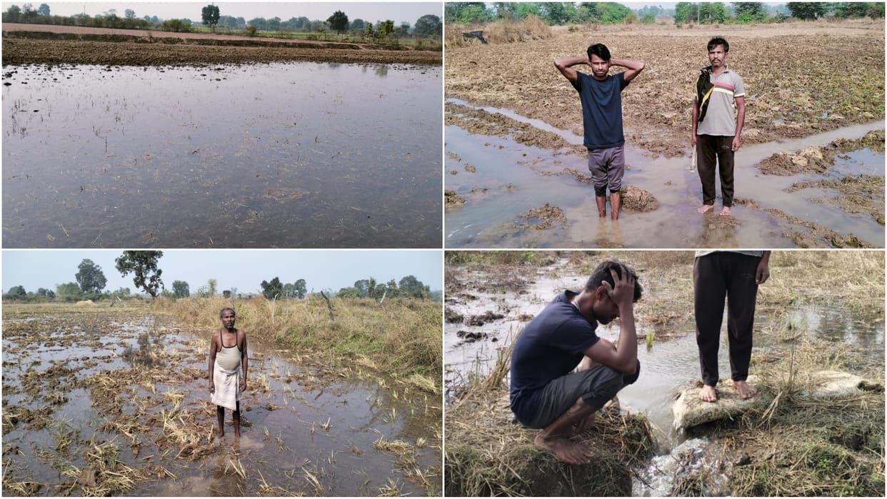 Due to negligence of Water Resources Department in Damoh, fields of dozens of farmers filled with water