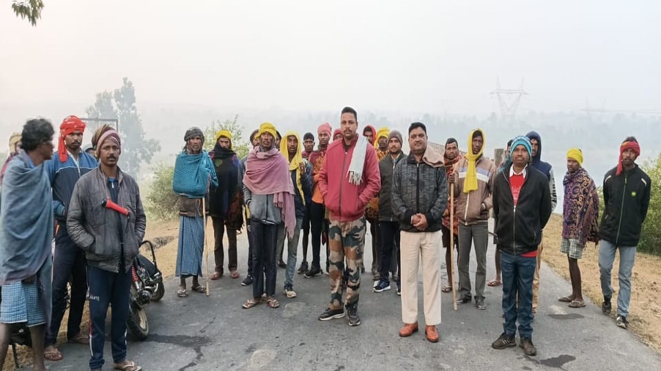Villagers in panic due to elephant terror  dozens of cattle were killed in Korba