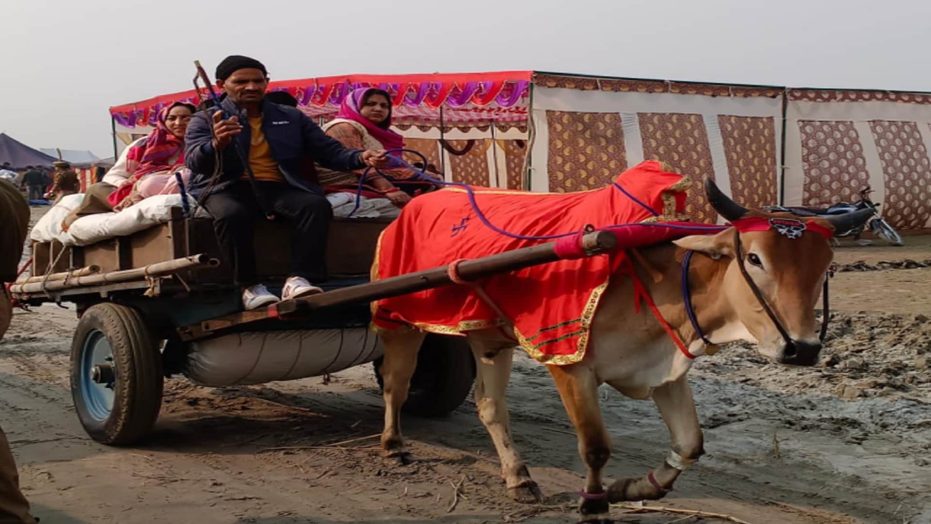 Meerut: A metropolis of tents has settled in Makhdoompur Ganga Fair and many lakhs of devotees will reach