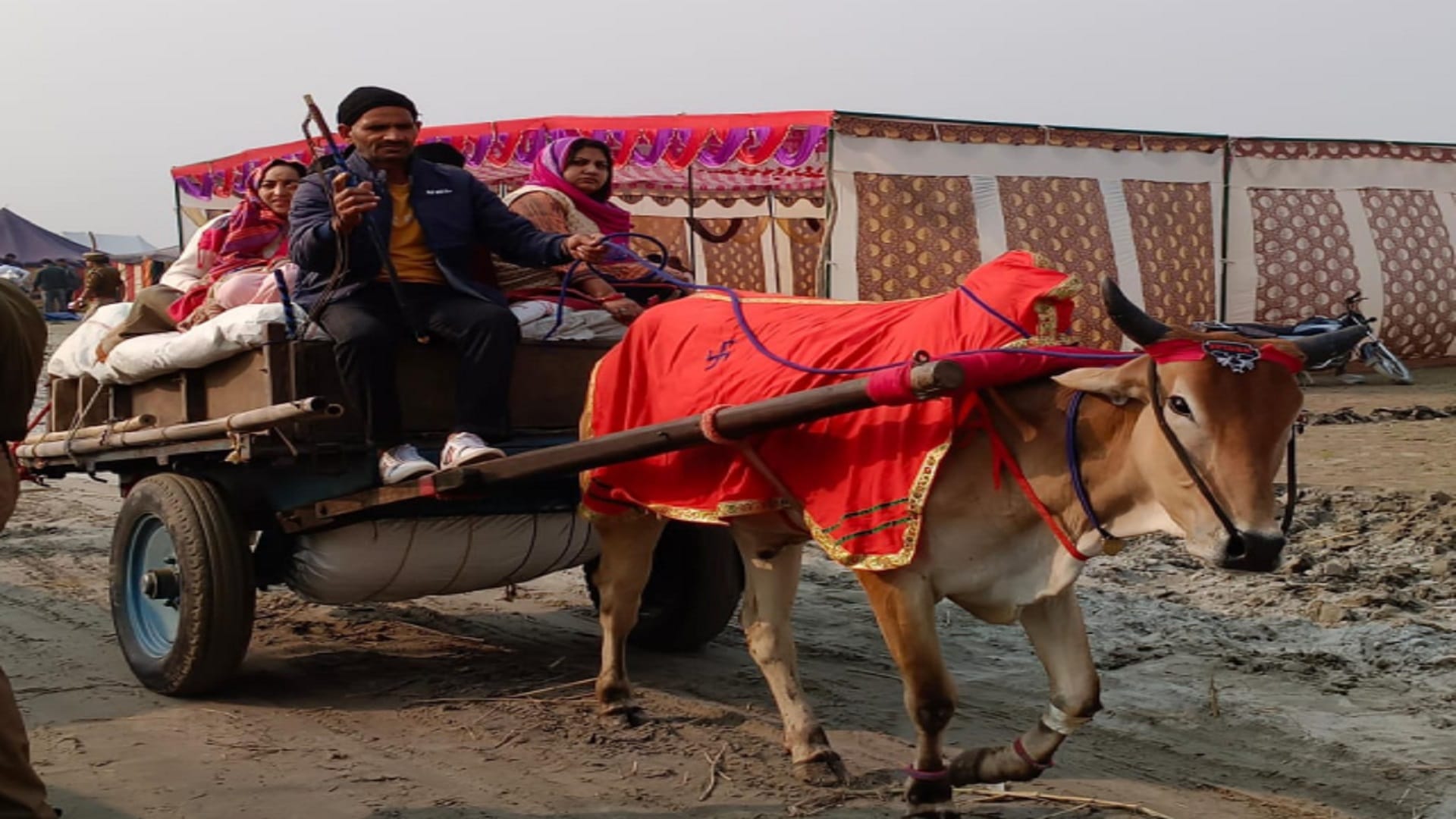 Meerut: A metropolis of tents has settled in Makhdoompur Ganga Fair and many lakhs of devotees will reach