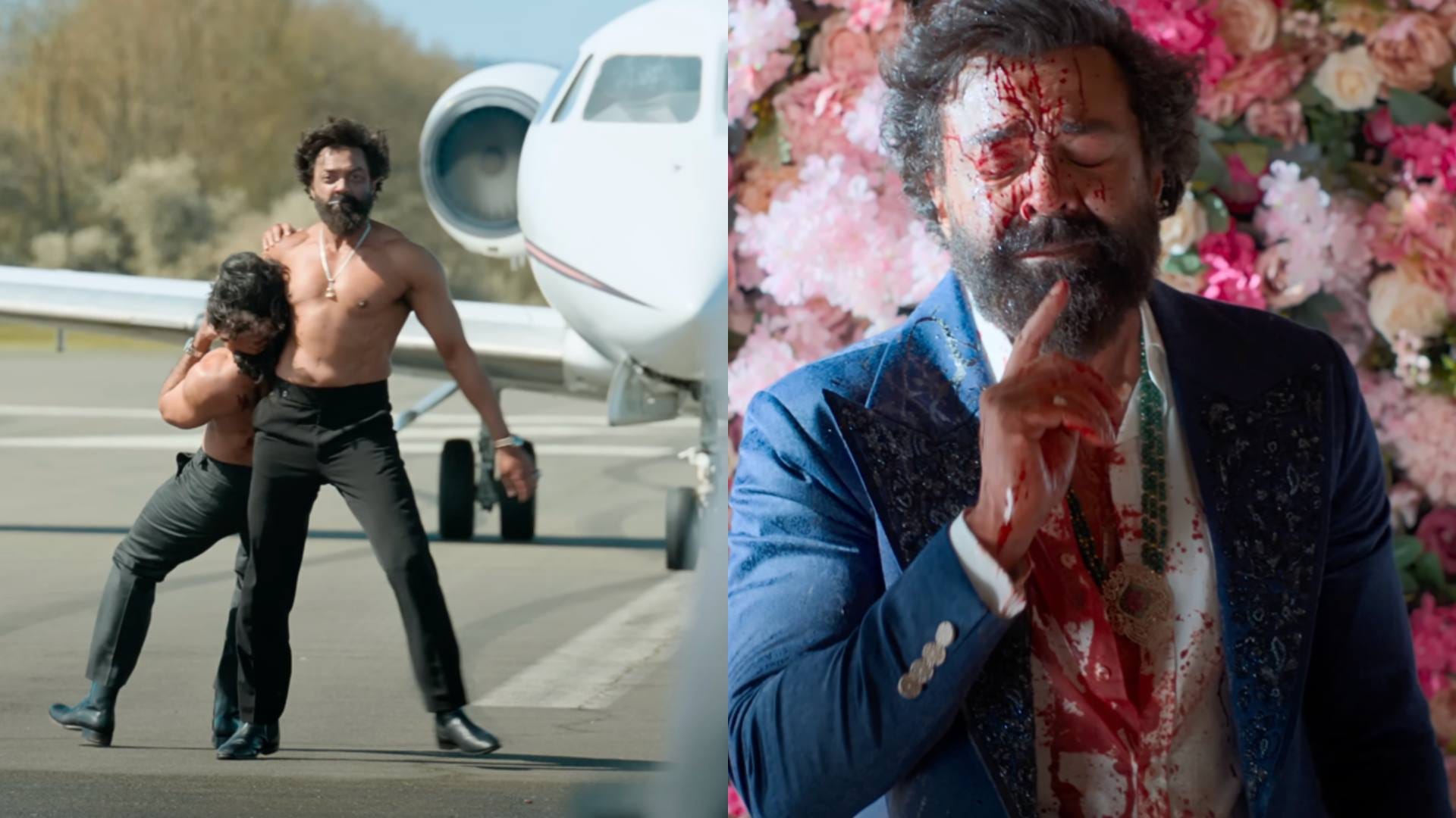 Bobby Deol Onscreen Wife Mansi Taxak Break silence on Her Role And Rape Scene In ranbir kapoor film Animal