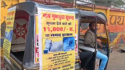 Vidisha: The one who finds the stolen cow will get a reward of Rs 11,000,