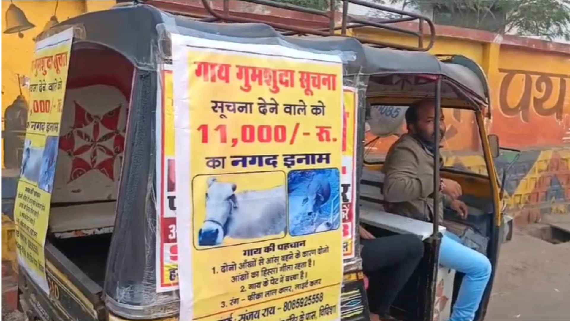 चोरी हुई गाय के पोस्टर लगाकर कराया जा रहा अनाउंसमेंट