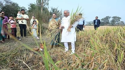 CM Baghel celebrated Badhauna ritual said this time the paddy yield was good