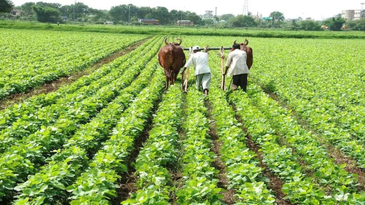 Farmers will get discount in solar fencing of fields.