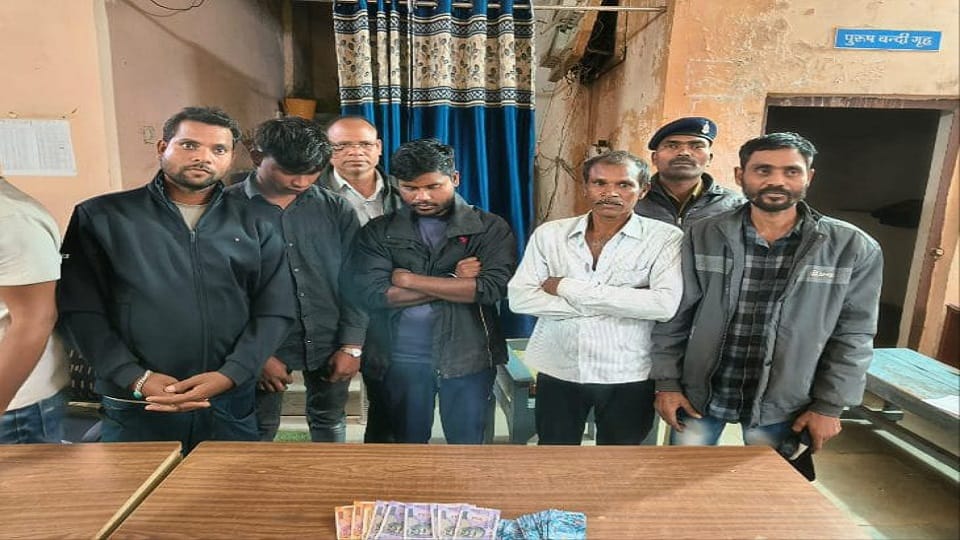 Police action against gamblers many people arrested in Janjgir Champa