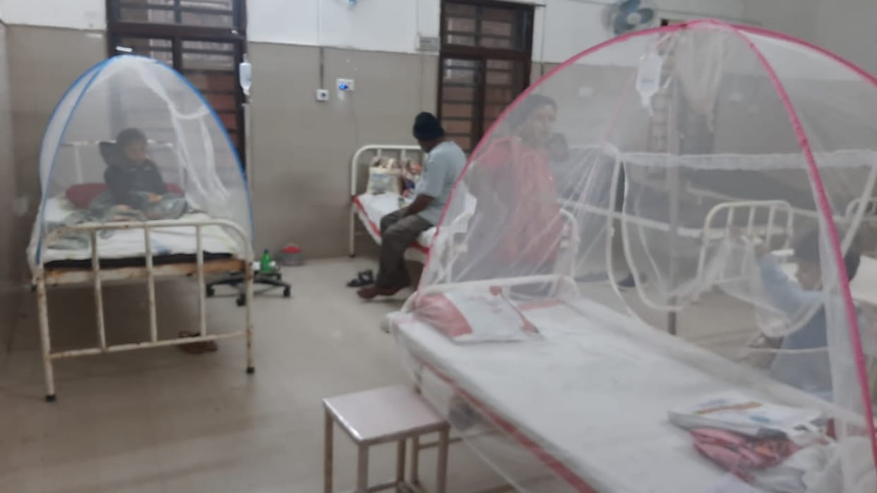 Damoh Record of dengue patients broken 216 patients undergoing treatment