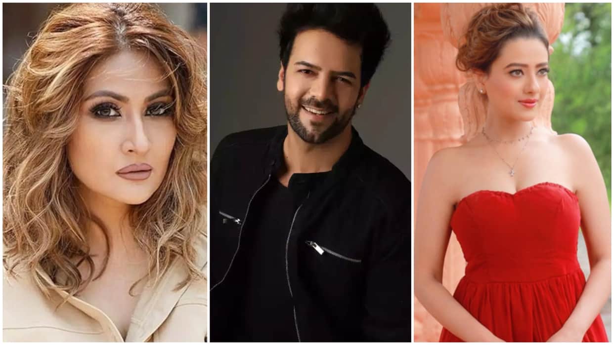 Stars Gets Famous As Tv Villain Ashish Malhotra Isha Malviya Madalsa Sharma Sanjay Gagnani