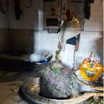 जागेश्वर नाथ मंदिर के पट खुले