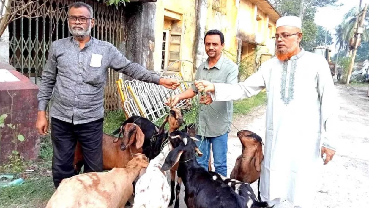 Nine goats freed after one year in jail in bangladesh what was the matter