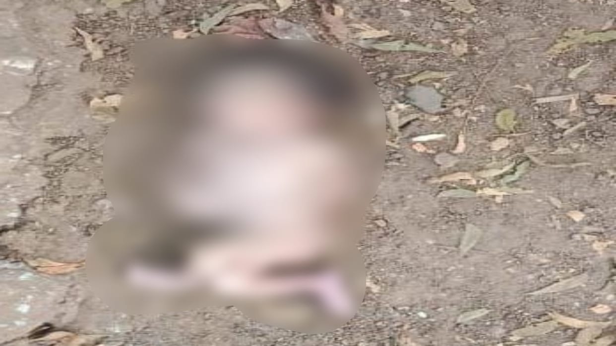 Shahdol News Dead body of newborn girl found in bushes police investigating