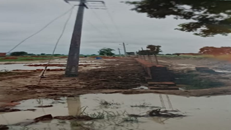 Leaving the empty space, the electricity department installed a pole in the private plot