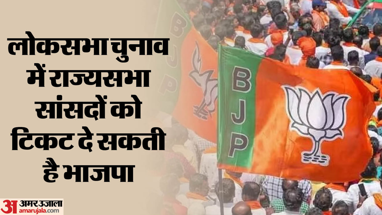 BJP could contest Rajya Sabha MPs in lok sabha election 2024