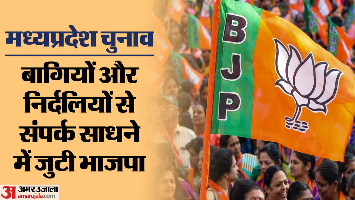 MP election: BJP's 'Plan B' is now ready, contacting rebel candidates to form the government