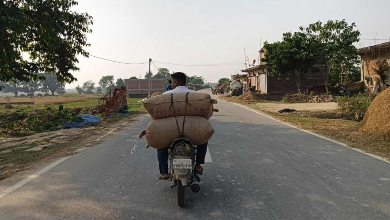 Wheat seeds crossing border indiscriminately in maharajganj