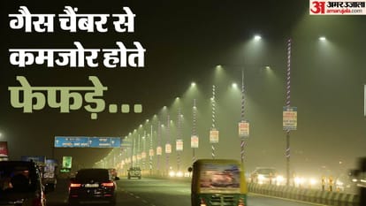 जिंदगी के 17 साल छीन रहा प्रदूषण: एक अध्ययन से खुलासा, दिल्ली में गैस चैंबर से बढ़ रहे सांस के मरीज Delhi AIIMS Dr Vijay Hadda said that respiratory patients are increasing due to pollution in Delhi