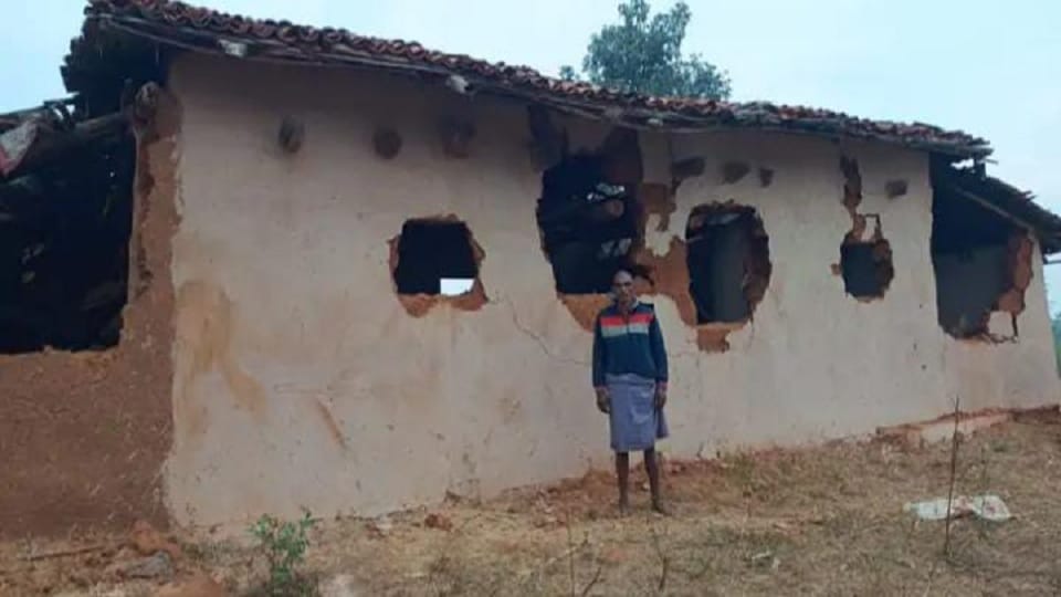 A herd of elephants created terror in the village throughout the night in Korba