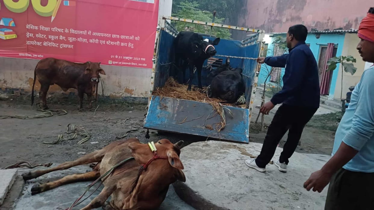 Kushinagar News Two cattle smugglers shot in encounter four arrested