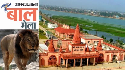 अमर उजाला बाल मेला: चिड़ियाघर में बाल मेला कल...शेर-भालू को देखने के साथ बच्चे करेंगे फुल मस्ती Amar Ujala Children Fair in Gorakhpur Zoo