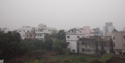 Weather Updates: Light rain increased cold in many areas of Bihar; Temperature, Patna, Forecast, Mausam News
