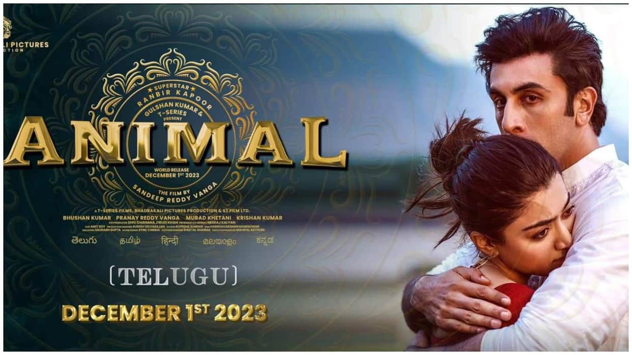 Animal Day 8 BO Collection Ranbir Kapoor Film Beats Shahrukh Khan Jawan Pathan and Gadar 2 On Second week