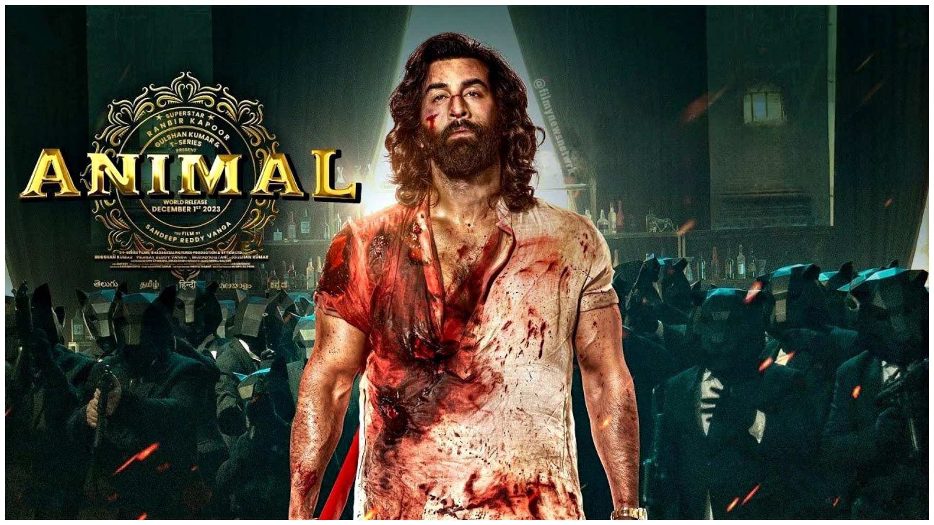 Animal Box office collection day 1 crosses 60 cr in early trends beats pathaan in first day opening next jawan